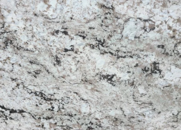 White Taupe 1